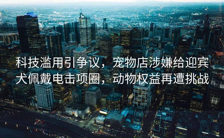 科技滥用引争议，宠物店涉嫌给迎宾犬佩戴电击项圈，动物权益再遭挑战