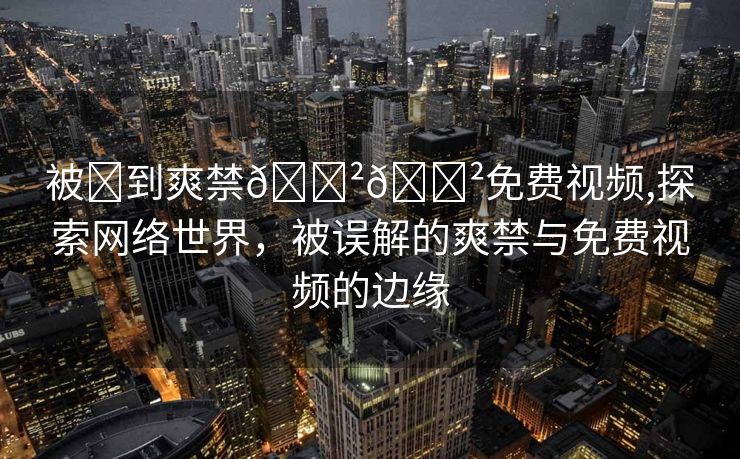 被✘到爽禁🈲🈲免费视频,探索网络世界，被误解的爽禁与免费视频的边缘