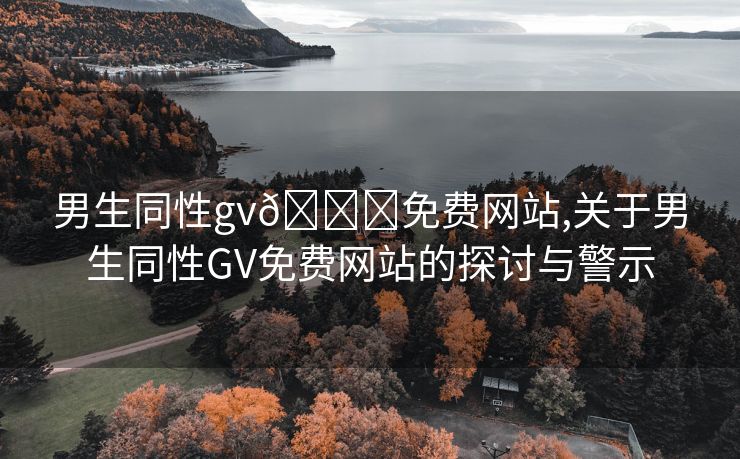 男生同性gv🔞免费网站,关于男生同性GV免费网站的探讨与警示