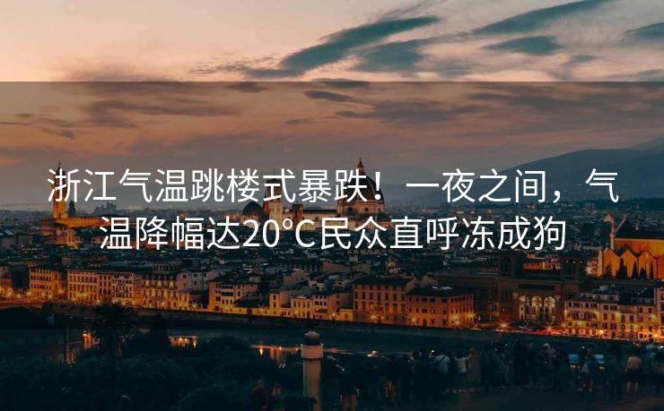 浙江气温跳楼式暴跌！一夜之间，气温降幅达20℃民众直呼冻成狗