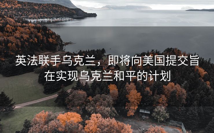 英法联手乌克兰，即将向美国提交旨在实现乌克兰和平的计划