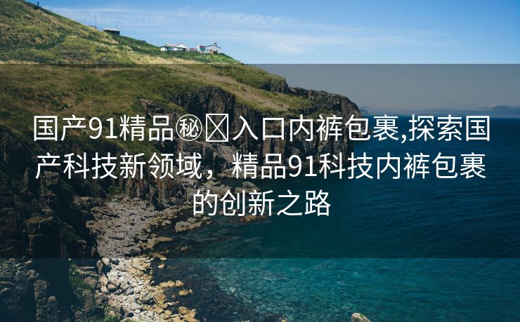 国产91精品㊙️入口内裤包裹,探索国产科技新领域，精品91科技内裤包裹的创新之路