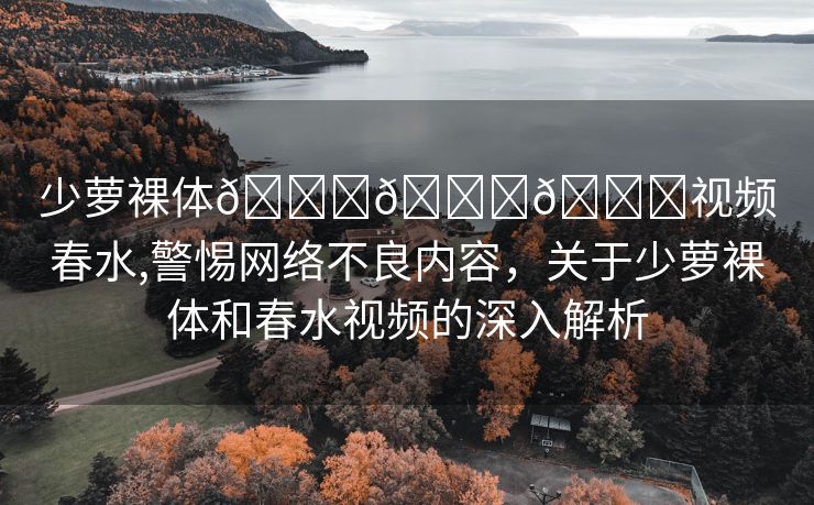 少萝裸体🔞🔞🔞视频春水,警惕网络不良内容，关于少萝裸体和春水视频的深入解析