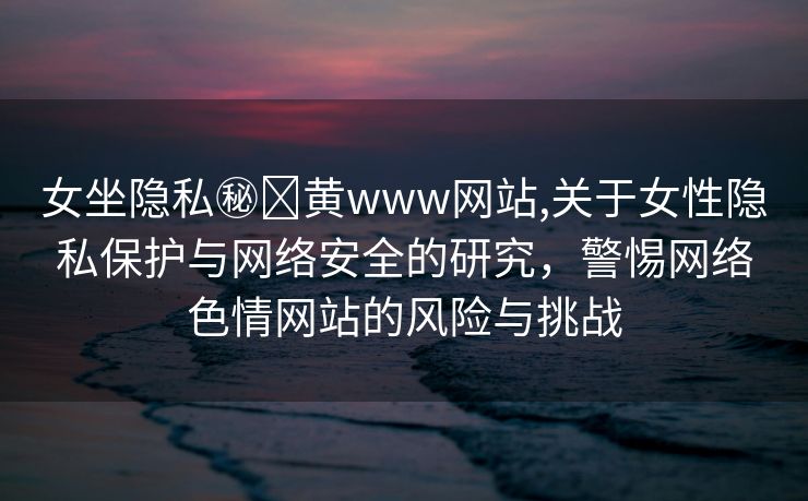 女坐隐私㊙️黄www网站,关于女性隐私保护与网络安全的研究，警惕网络色情网站的风险与挑战