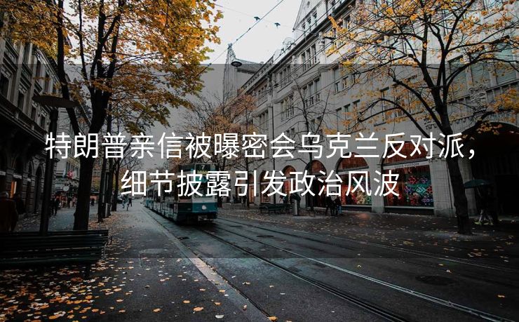 特朗普亲信被曝密会乌克兰反对派，细节披露引发政治风波