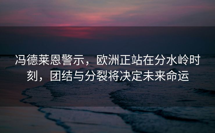 冯德莱恩警示，欧洲正站在分水岭时刻，团结与分裂将决定未来命运