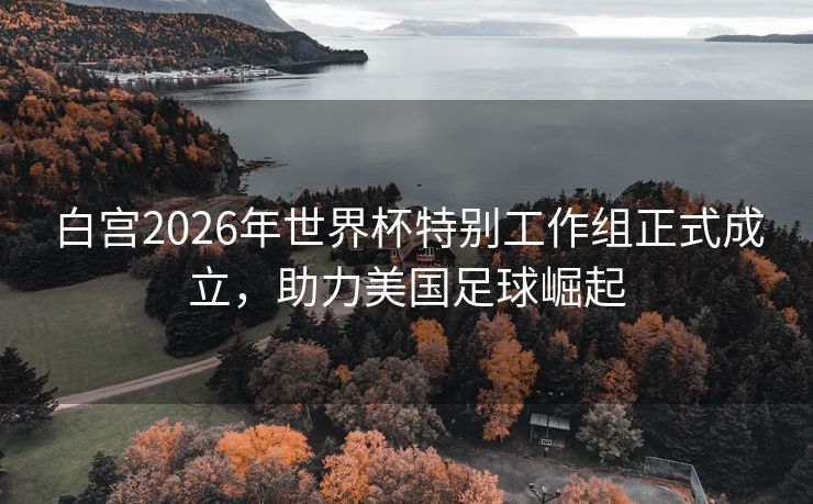 白宫2026年世界杯特别工作组正式成立，助力美国足球崛起