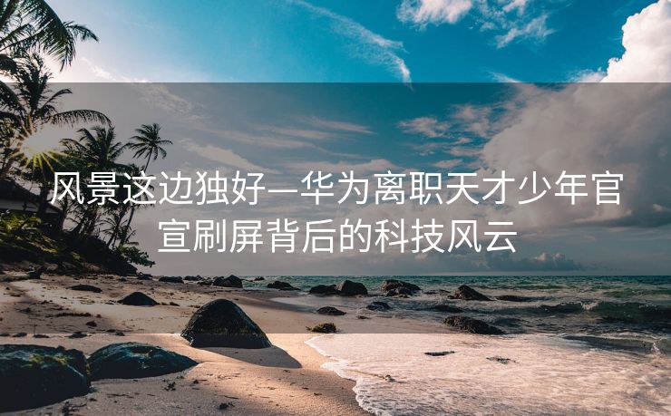 风景这边独好—华为离职天才少年官宣刷屏背后的科技风云