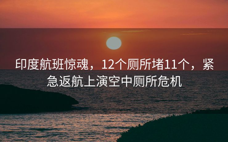 印度航班惊魂，12个厕所堵11个，紧急返航上演空中厕所危机