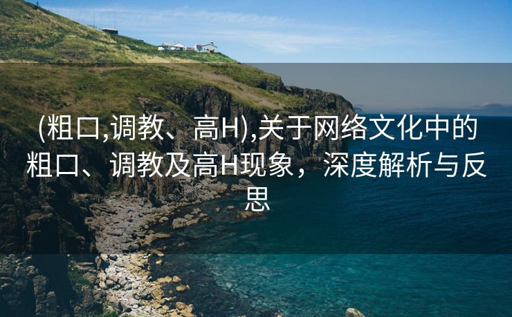 (粗口,调教、高H),关于网络文化中的粗口、调教及高H现象，深度解析与反思