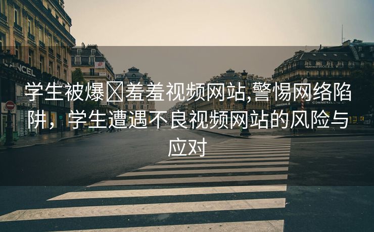 学生被爆❌羞羞视频网站,警惕网络陷阱，学生遭遇不良视频网站的风险与应对