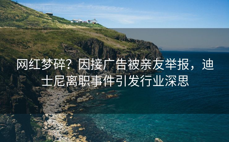 网红梦碎？因接广告被亲友举报，迪士尼离职事件引发行业深思