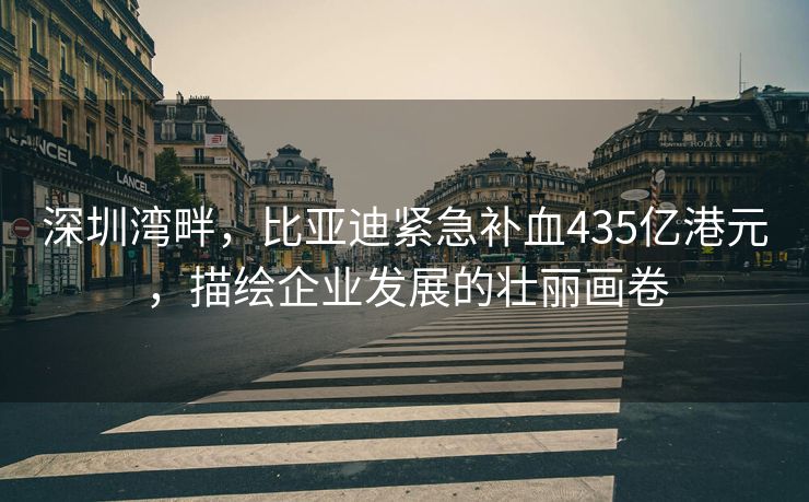 深圳湾畔，比亚迪紧急补血435亿港元，描绘企业发展的壮丽画卷