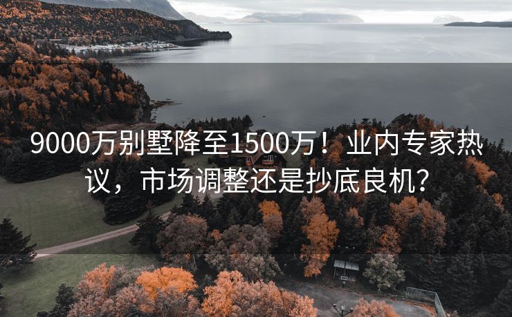 9000万别墅降至1500万！业内专家热议，市场调整还是抄底良机？