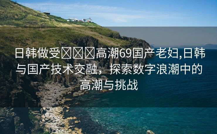 日韩做受❌❌❌高潮69国产老妇,日韩与国产技术交融，探索数字浪潮中的高潮与挑战