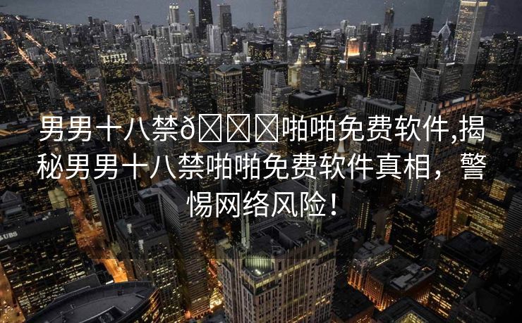 男男十八禁🔞啪啪免费软件,揭秘男男十八禁啪啪免费软件真相，警惕网络风险！