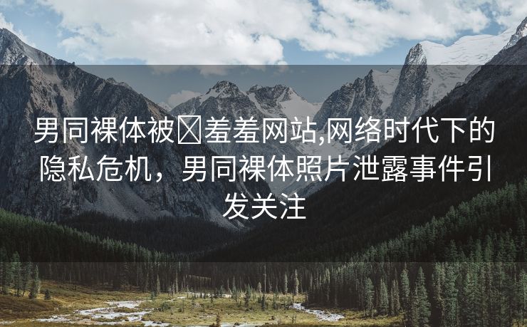 男同裸体被❌羞羞网站,网络时代下的隐私危机，男同裸体照片泄露事件引发关注