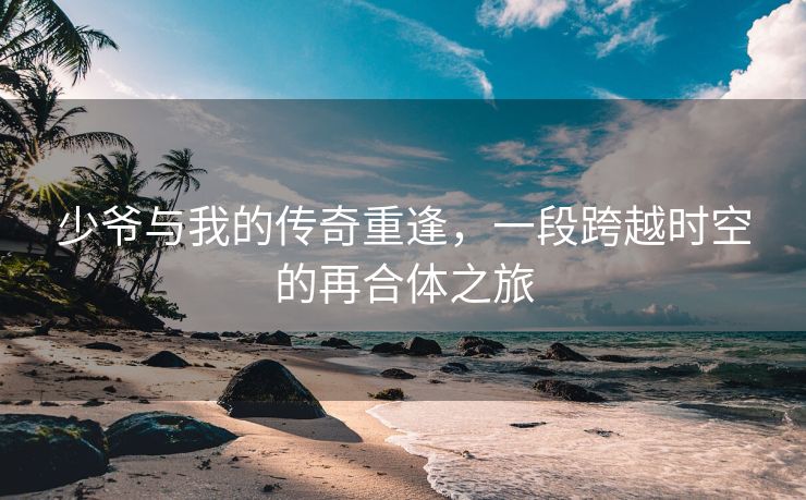 少爷与我的传奇重逢，一段跨越时空的再合体之旅