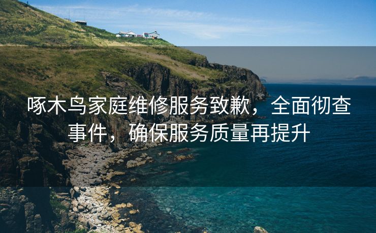 啄木鸟家庭维修服务致歉，全面彻查事件，确保服务质量再提升