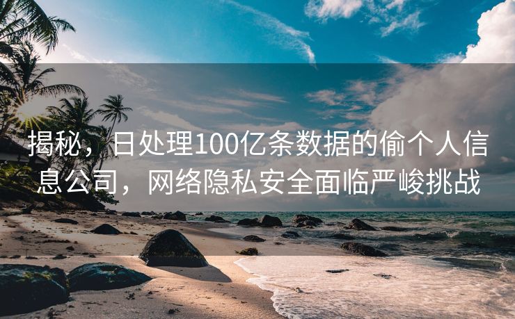 揭秘，日处理100亿条数据的偷个人信息公司，网络隐私安全面临严峻挑战