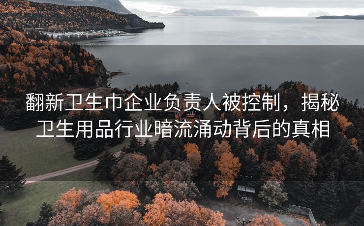 翻新卫生巾企业负责人被控制，揭秘卫生用品行业暗流涌动背后的真相