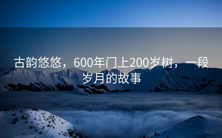 古韵悠悠，600年门上200岁树，一段岁月的故事