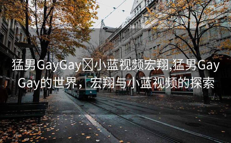 猛男GayGay✅小蓝视频宏翔,猛男GayGay的世界，宏翔与小蓝视频的探索