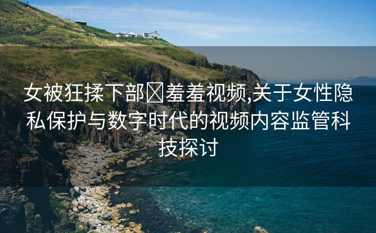 女被狂揉下部❌羞羞视频,关于女性隐私保护与数字时代的视频内容监管科技探讨